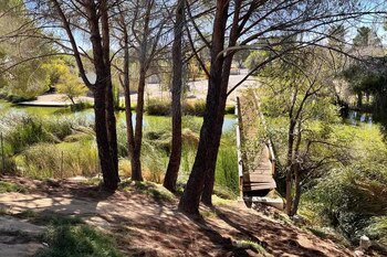 A pesar de no convertirse