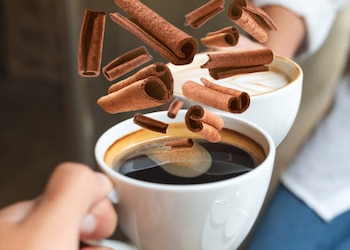 La canela es rica en