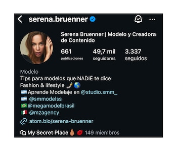 El perfil público de Bruenner