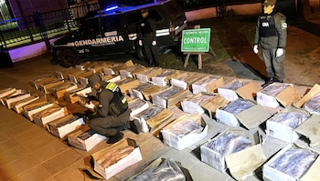 Dos agentes de Gendarmería Nacional junto a un vehículo oficial y decenas de cajas abiertas con pescado embalado en plástico, dispuestas en el suelo