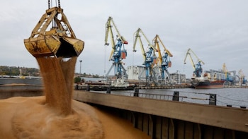 Las ventas de granos con