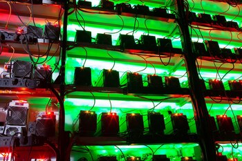Los mineros de criptomonedas, que