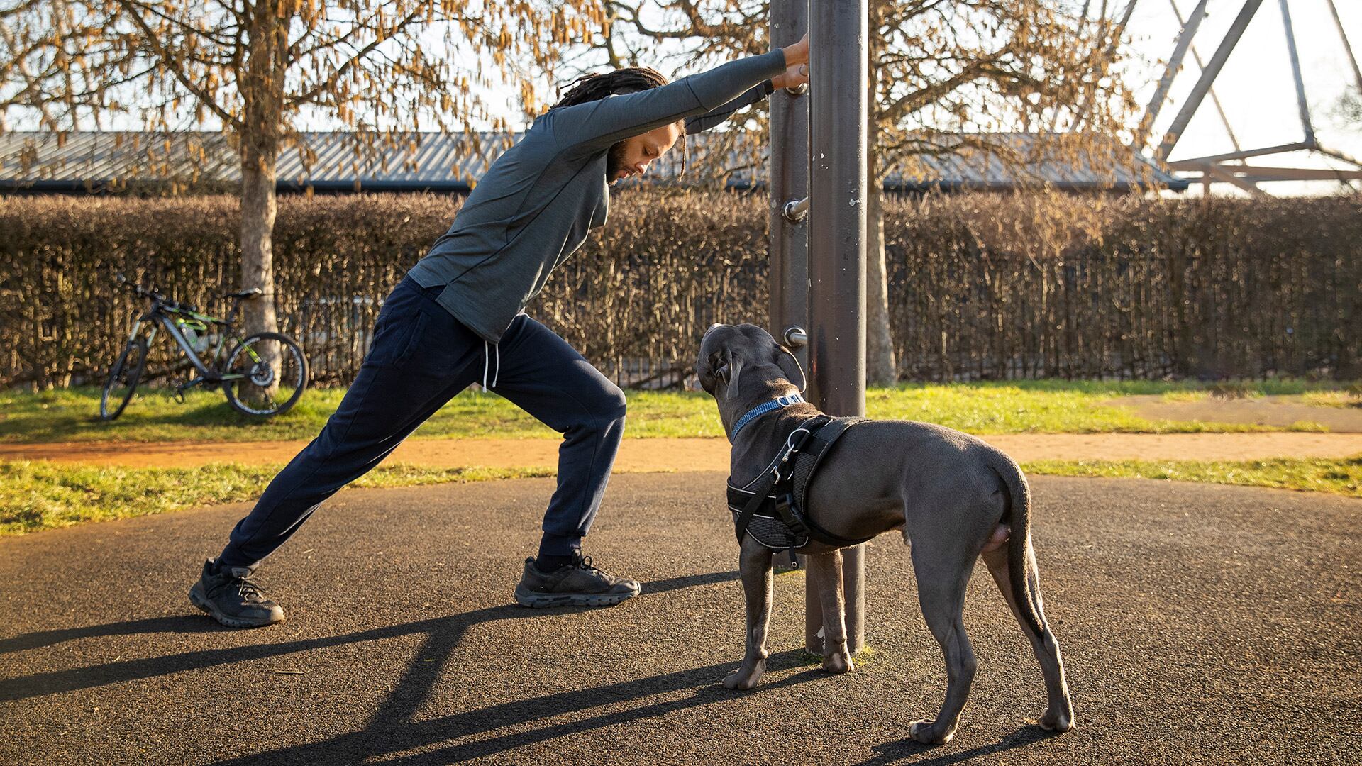 Entrenar perros de servicio ofrece una vía prometedora para mejorar la salud física y mental, combinando empatía y sentido de comunidad (Freepik)