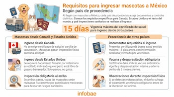 Perro, gato, transportadora de mascotas, pasaportes, mapa de México con banderas. Elementos de inspección veterinaria, vacunas y texto sobre requisitos de ingreso. Infobae.