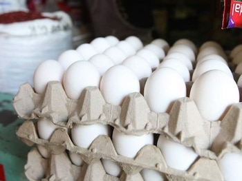 Productores y Gobierno revisarán mensualmente la estructura de costos del sector avícola. (FOTO: La Tribuna)
