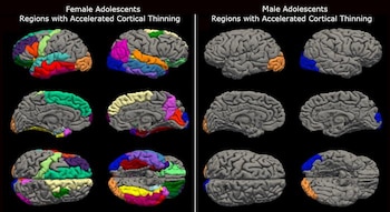 La investigación del Institute for