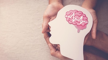 Cómo el cerebro aprende a