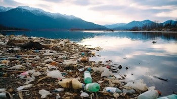 Expertos de la Universidad de