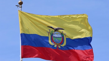 Dictan prisión contra la prefecta de la región ecuatoriana de Santo Domingo por enriquecimiento ilícito