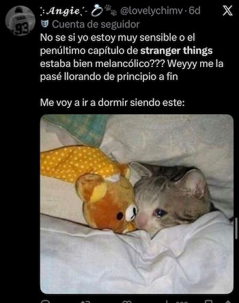 (captura de pantalla)