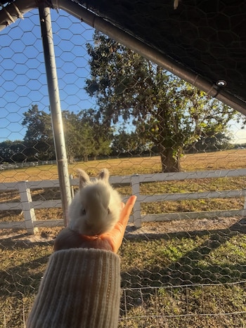pampita ana garcía moritán