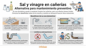 Infografía con dibujos de cañerías, saleros, frascos de vinagre y un plomero sobre el mantenimiento de desagües domésticos.