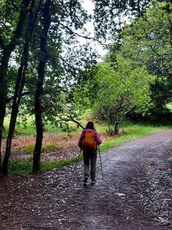 Camino de Santiago
