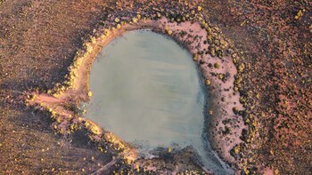 Científicos grabaron por primera vez