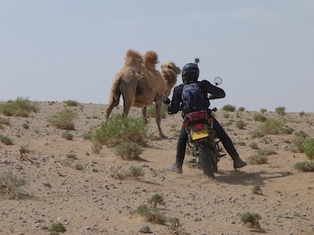 En el Desierto de Gobi