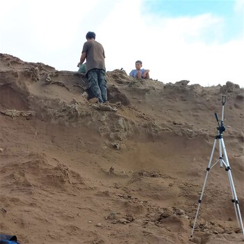 Los padres de Bruno se