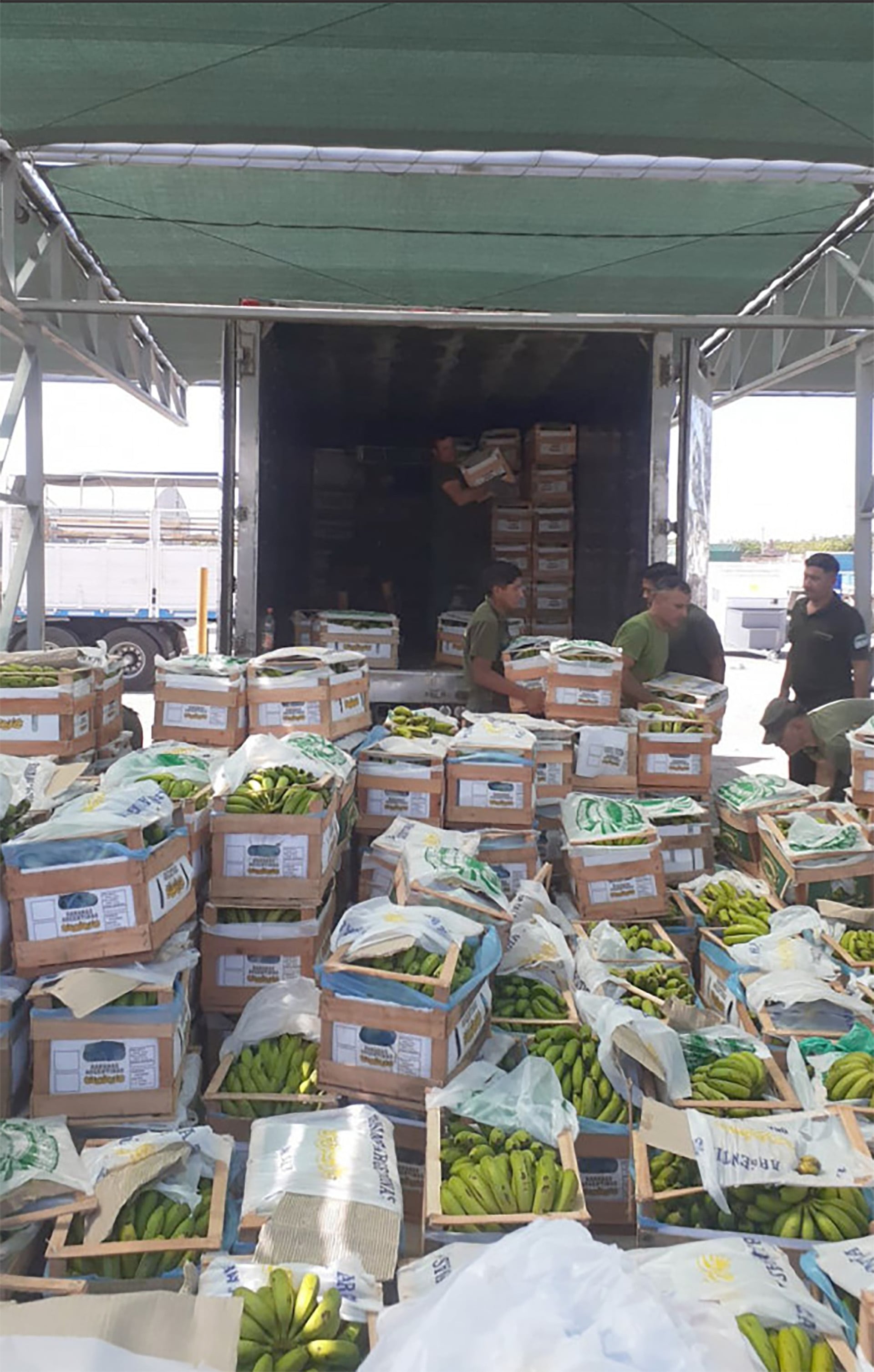 La droga iba escondida en un camión con bananas.