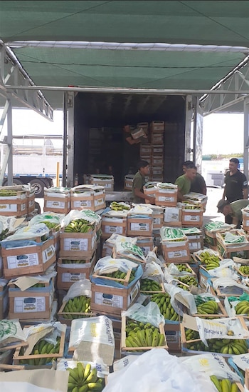 La droga iba escondida en