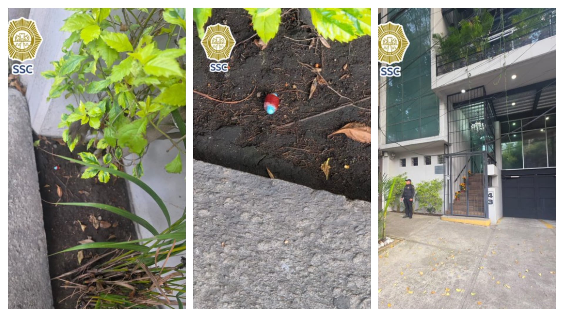 Encuentran nueva pastilla con veneno cerca del Parque España: operativos no dan resultados