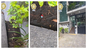 Encuentran nueva pastilla con veneno cerca del Parque España: operativos no dan resultados