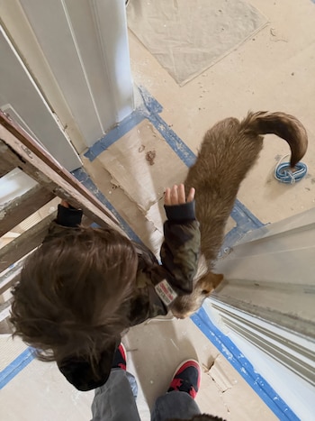 Vista desde arriba de un niño con chaqueta de camuflaje que toca a un perro marrón sobre un piso cubierto con cartones de obra