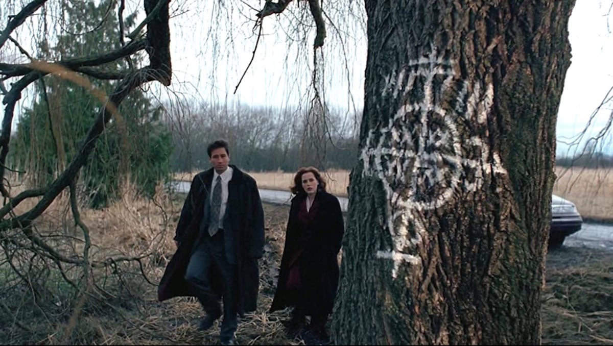 Los agentes Mulder y Scully investigan un misterioso símbolo vudú pintado en un árbol durante el episodio Fresh Bones (Temporada 2, 1995)