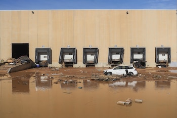 Imagen NZSW35IMDRFSXNR2AOJ55Q7J4I