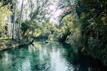 El ecosistema dominante es la selva baja caducifolia, con un relicto de bosque de galería en la ribera del río. (Foto: Gobierno de Morelos)