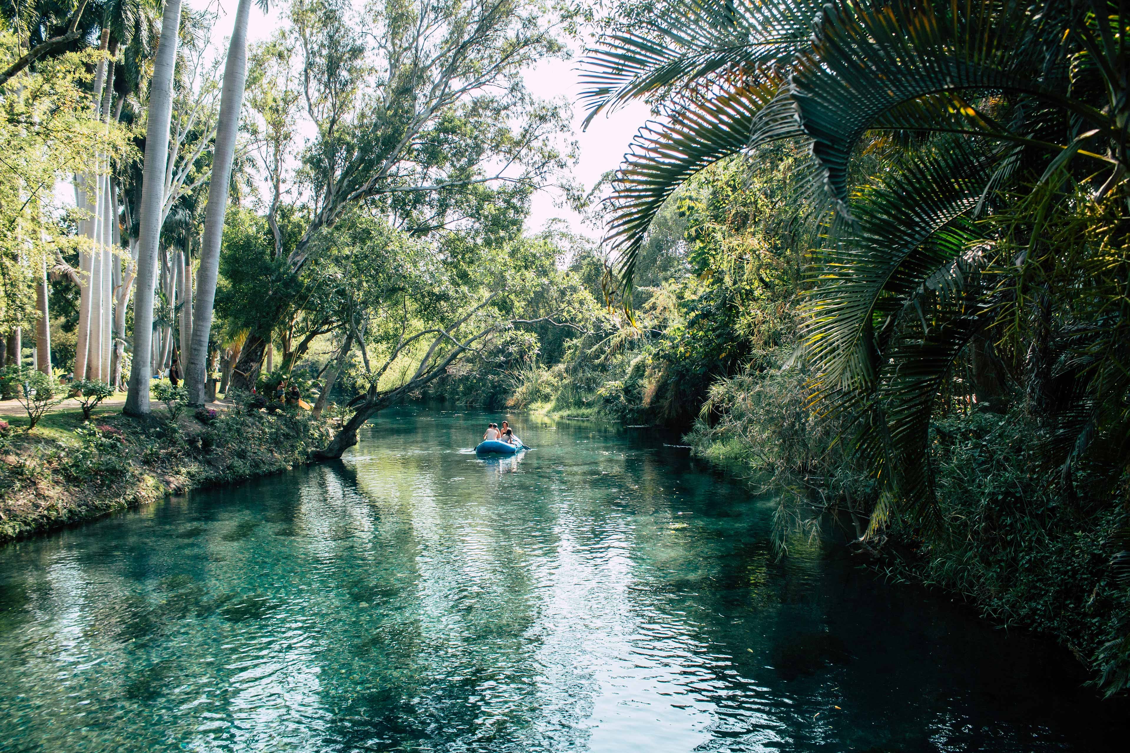 El ecosistema dominante es la selva baja caducifolia, con un relicto de bosque de galería en la ribera del río. (Foto: Gobierno de Morelos)