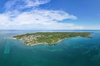 Los arrecifes de Isla Fuerte albergan una amplia diversidad marina. Entre las especies que pueden observarse durante las inmersiones están los tiburones nodriza, los de puntas blancas y las tortugas marinas (cartagenatours)