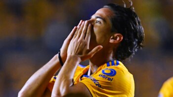 "Mi corazón pertenece a Tigres",