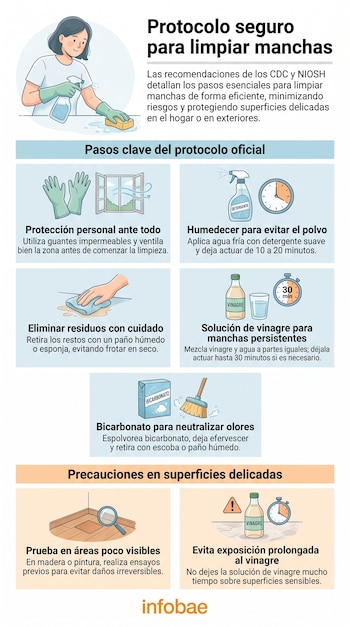Infografía con mujer limpiando, guantes, ventana, botella de detergente, reloj, paño, vinagre, vaso, bicarbonato, escoba y lupa en consejos de limpieza de manchas.