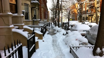 Una vereda parcialmente despejada muestra