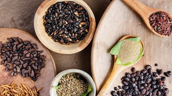 Bichopolis 2023: Todo lo que