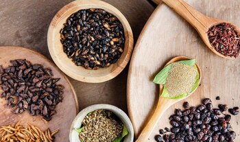 Bichópolis 2023 FOTO: @el_bonito_tianguis