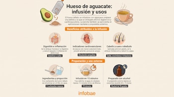 Infografía sobre el hueso de aguacate con ilustraciones de un aguacate, rallador, taza, órganos humanos, cabello y frasco con alcohol.