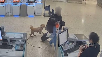 Detuvieron a una mujer por