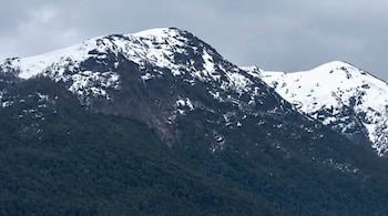 El desprendimiento en una ladera del cerro Macal arrastró tierra, árboles y vegetación hacia la costa del lago Nahuel Huapi (Gentileza)