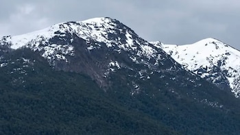 Las intensas lluvias en Neuquén provocaron un derrumbe de un cerro: dejó árboles flotando en el lago Nahuel Huapi