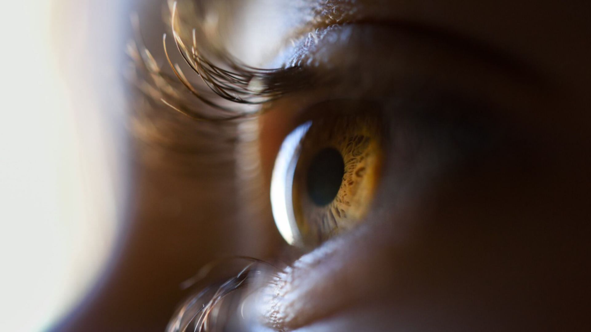 La técnica cf-tACS sincroniza las oscilaciones cerebrales y simula la comunicación natural entre la corteza visual primaria y el área medio-temporal.(Archivo Freepik)