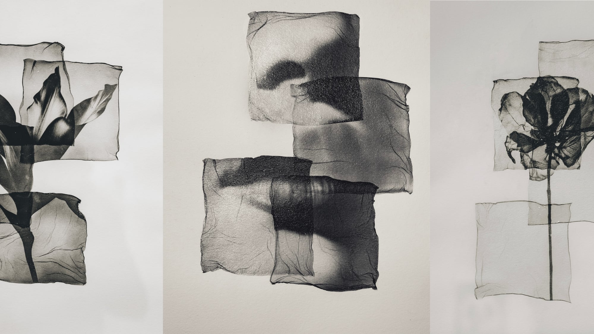 Cada fragmento en la obra de Takahashi sugiere nuevas lecturas y perspectivas para el público (Imagen Ilustrativa Infobae)