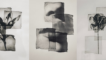 Lo que revela la fotografía experimental de Kentaro Takahashi sobre el paso del tiempo y los recuerdos