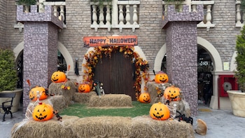 Fardos de paja, calabazas plásticas, pequeños esqueletos artificiales y un cartel frente a un muro de piedra con arcos junto a un gato