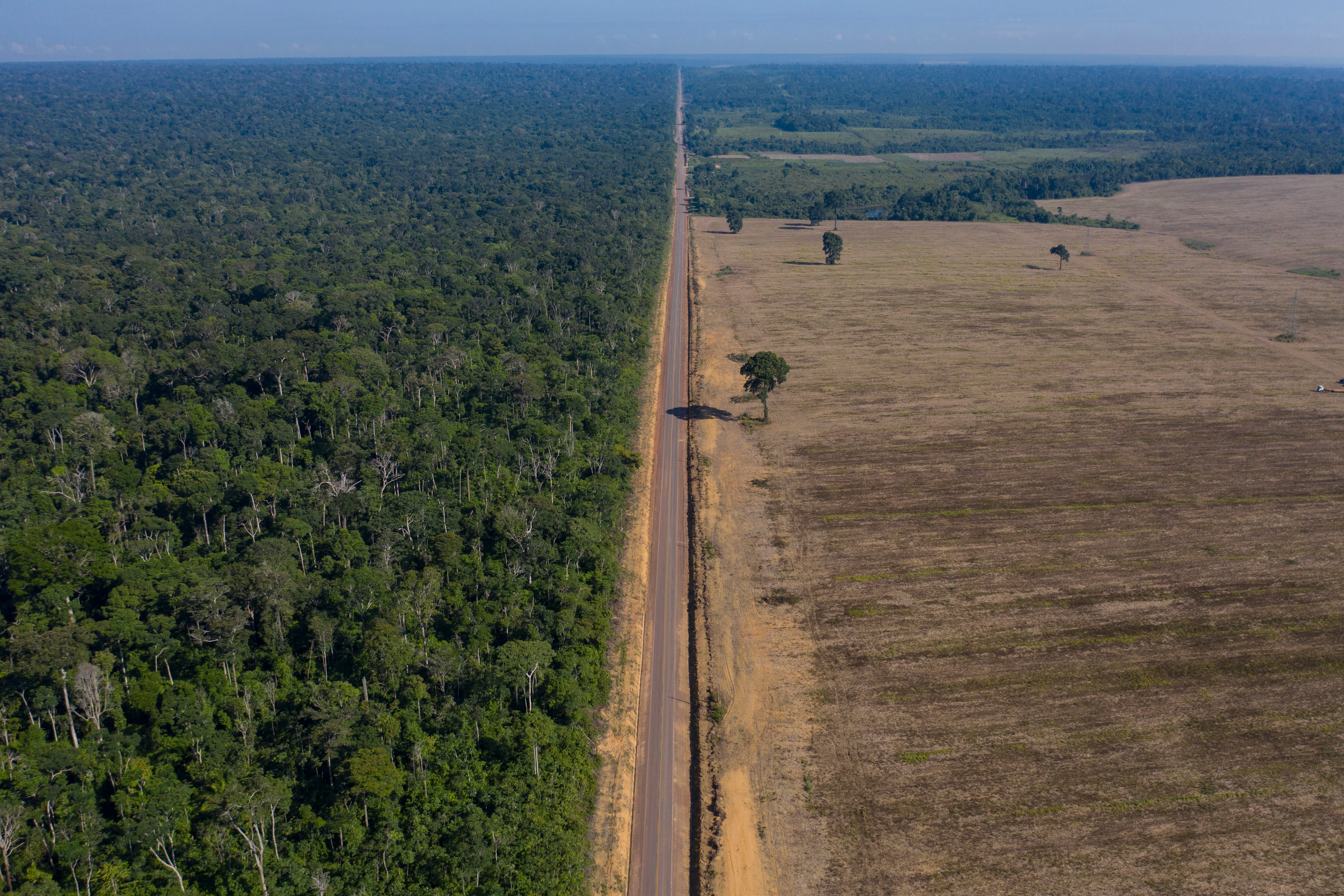 La deforestación en la selva atlántica de Brasil disminuyó un 40% entre 2024 y 2025, alcanzando su nivel más bajo en cuarenta años (AP Foto/Leo Correa, Archivo)