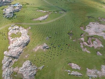 Reserva de bosques (@bosquesdeagua)