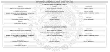 Cargos públicos declarados por Carlos Ulloa, director de Birmex. (PNT)
