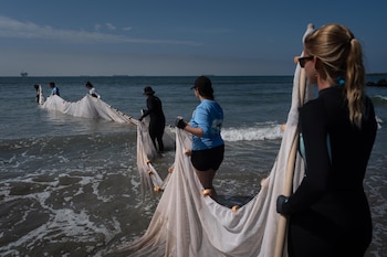 Varias personas en el agua de una playa sostienen una gran red de pesca con flotadores. En el horizonte se observan barcos y una plataforma petrolífera