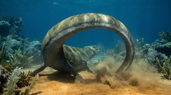 Reptil marino de gran tamaño sobre el fondo oceánico de arena con la cola curvada en forma de arco y sedimentos suspendidos.