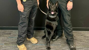 Rock pasó de ser rescatado