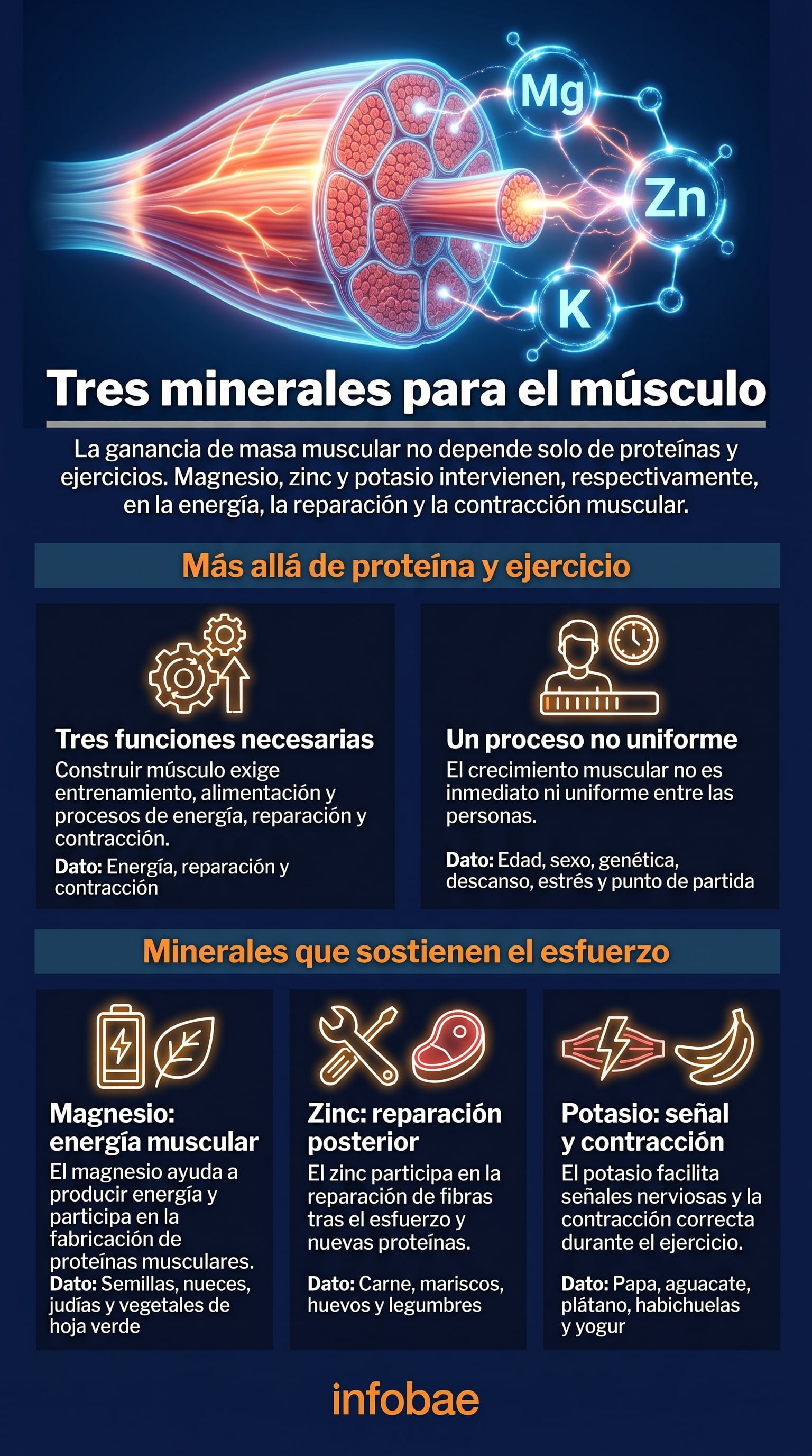 Rodrigo Arteaga explicó que el magnesio, el zinc y el potasio cumplen funciones relevantes en la energía, la reparación y la contracción muscular (Imagen Ilustrativa Infobae)